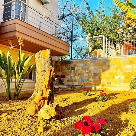Glaros Beach Apartment Kato Daratso Exterior photo