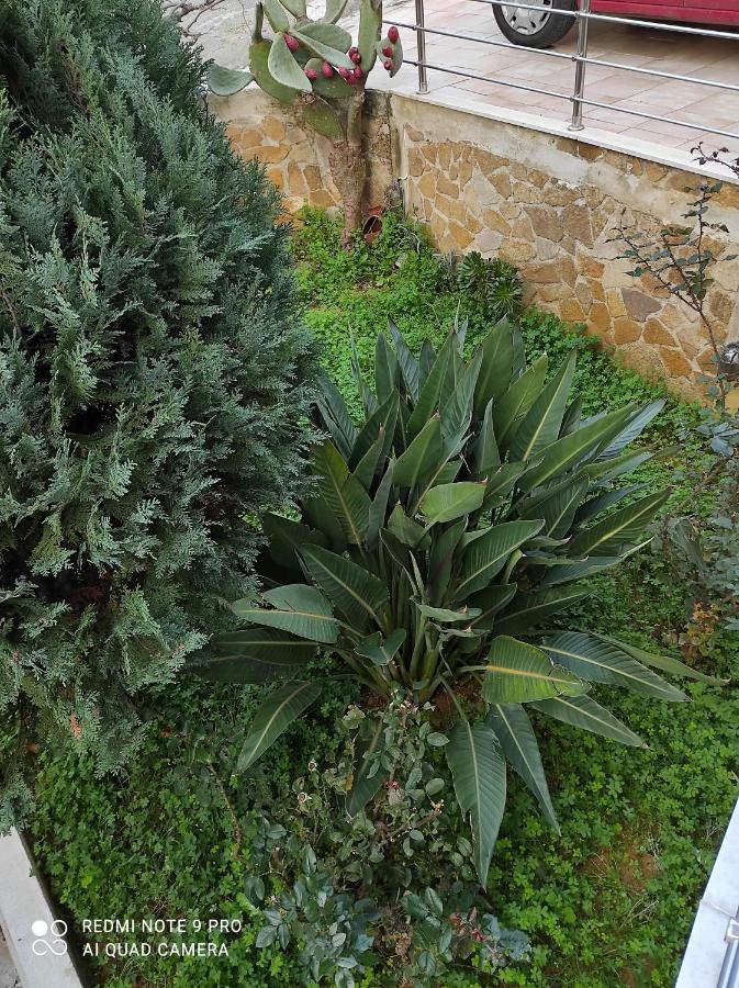 Glaros Beach Apartment Kato Daratso Exterior photo