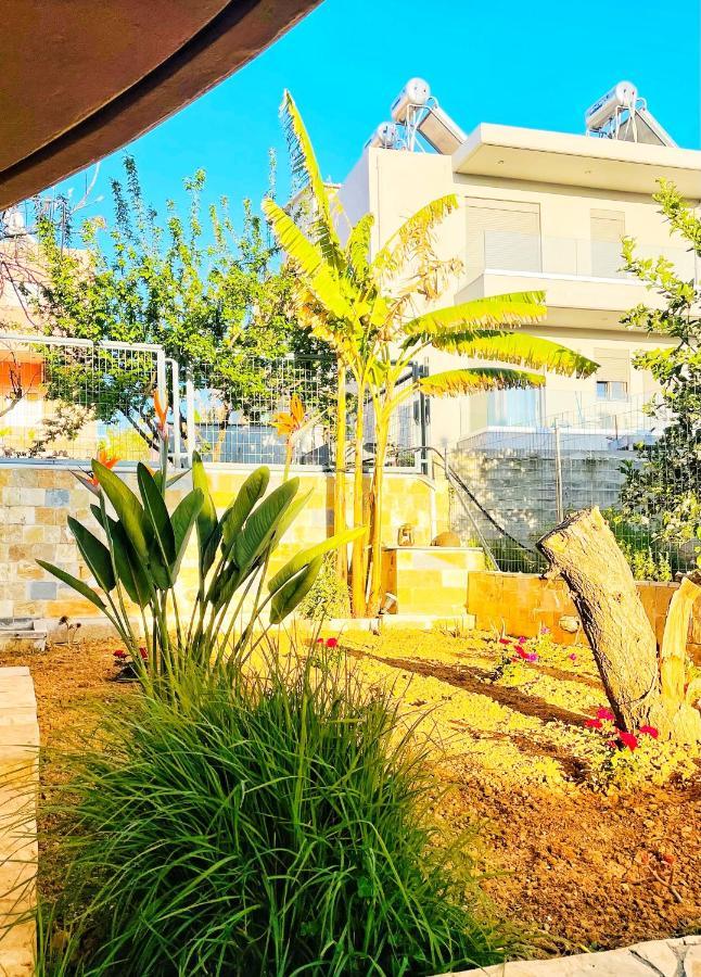 Glaros Beach Apartment Kato Daratso Exterior photo
